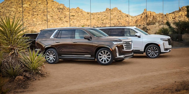 Two 2021 Escalades parked outside.
