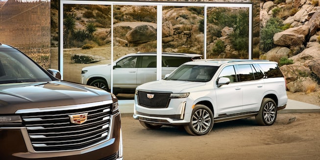 Side exterior of the 2021 Cadillac Escalade featuring a close-up look of the grille.