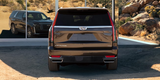 Rear view of a 2021 Escalade.
