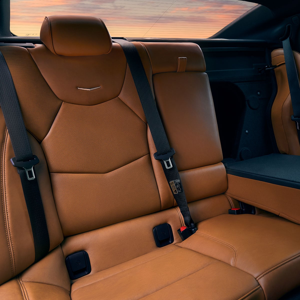 Rear seating of the 2025 Cadillac CT5.