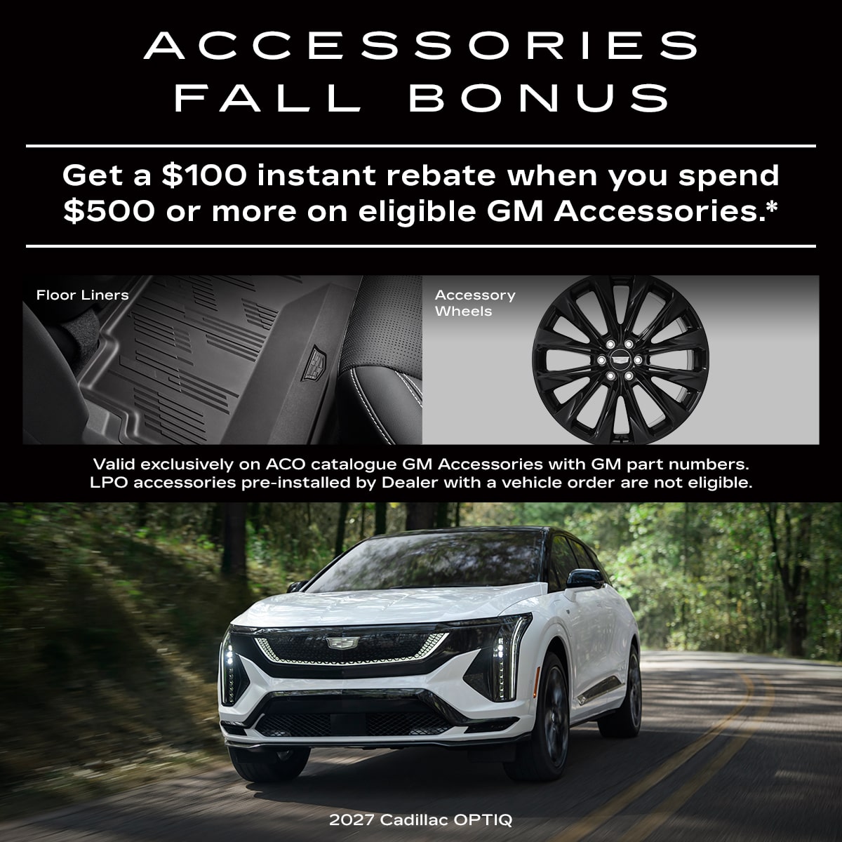 Accessories Fall Bonus