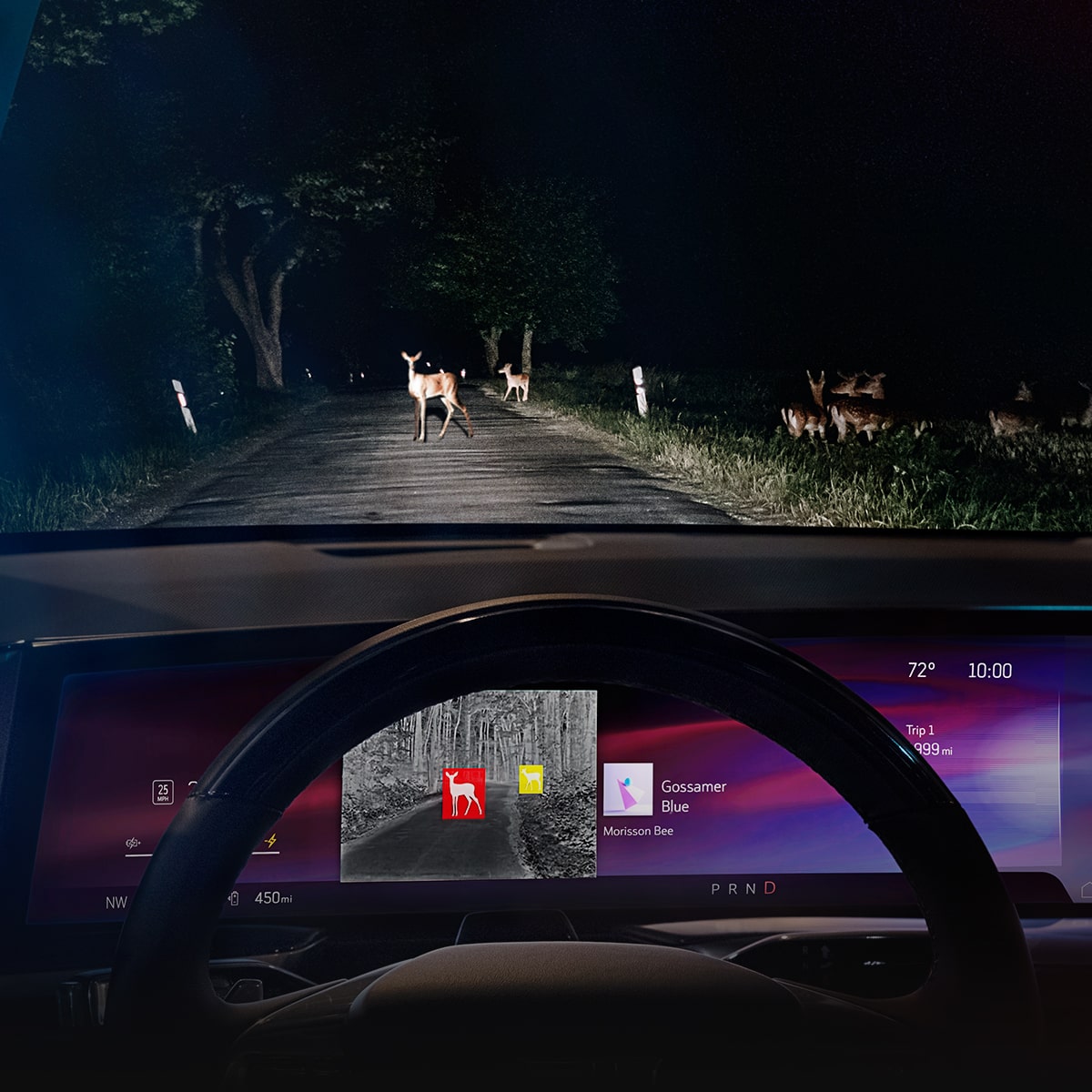 Drivers view of the Night Vision Thermal Imaging in action inside the 2026 Cadillac Escalade.
