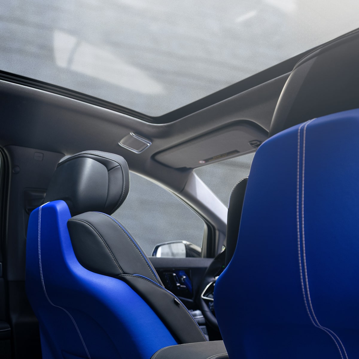 Passenger-side interior door panel with blue leather trim.