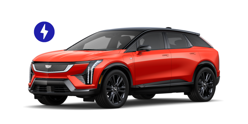 2026 Optiq