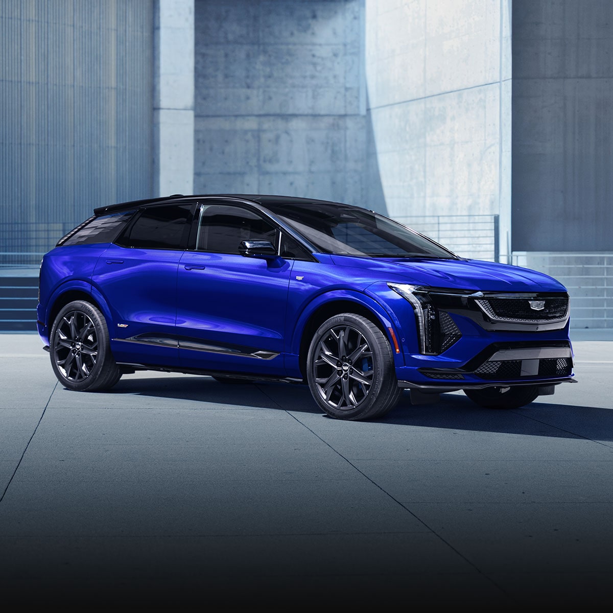 Side view of a Cadillac V-series.R race car driving fast on the race track.