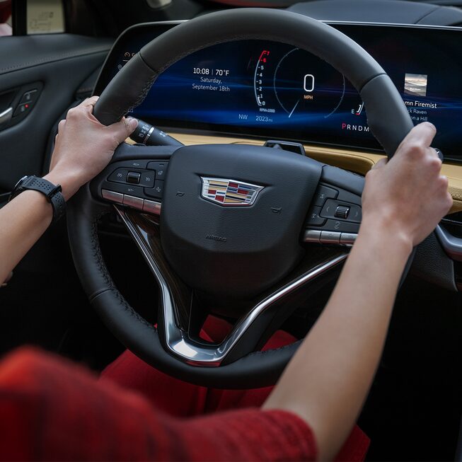 IMMERSIVE DRIVER CONTROLS