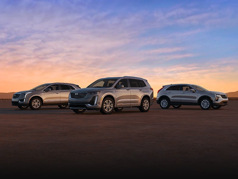 A Fleet of Cadillac SUVs Parked in the Desert During Sunset