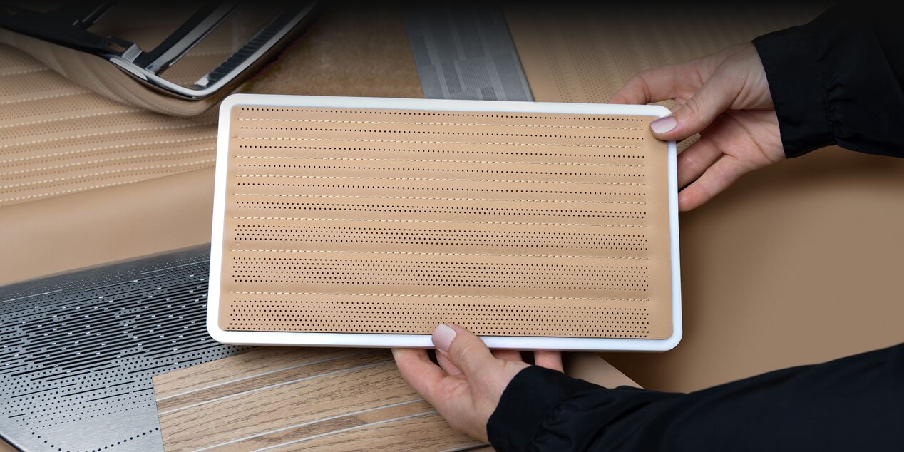 The Luxurious Trim Options of the CELESTIQ Vale Design