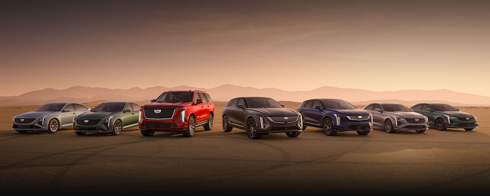 The Cadillac V-Series Vehicles Lined Up Next to Each Other in the Open Desert